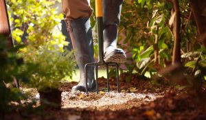 Bêcher son jardin : quelles alternatives sans effort ?