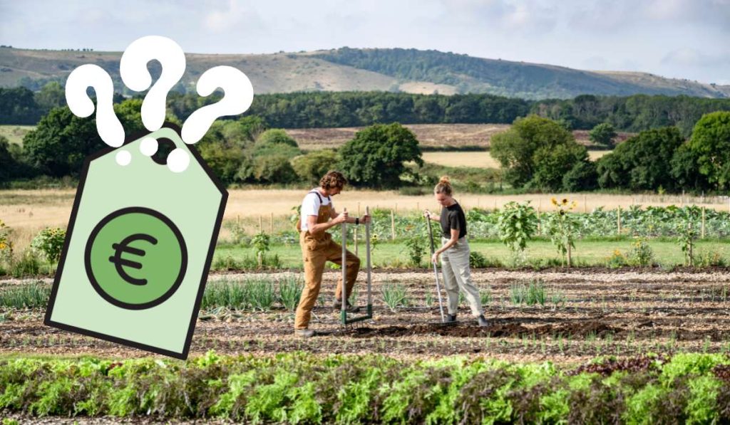 Prix d’une grelinette pas cher à haut de gamme