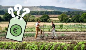 Prix d’une grelinette pas cher à haut de gamme