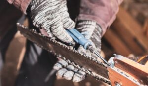 Quel angle pour affûter sa chaîne de tronçonneuse selon l&rsquo;essence de bois à couper ?